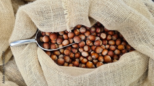 Healthy hazelnuts are packed into bags for sale at the market
