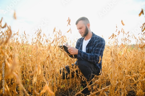 Agronomist inspecting soya bean crops growing in the farm field. Agriculture production concept. young agronomist examines soybean crop on field. Farmer on soybean field.