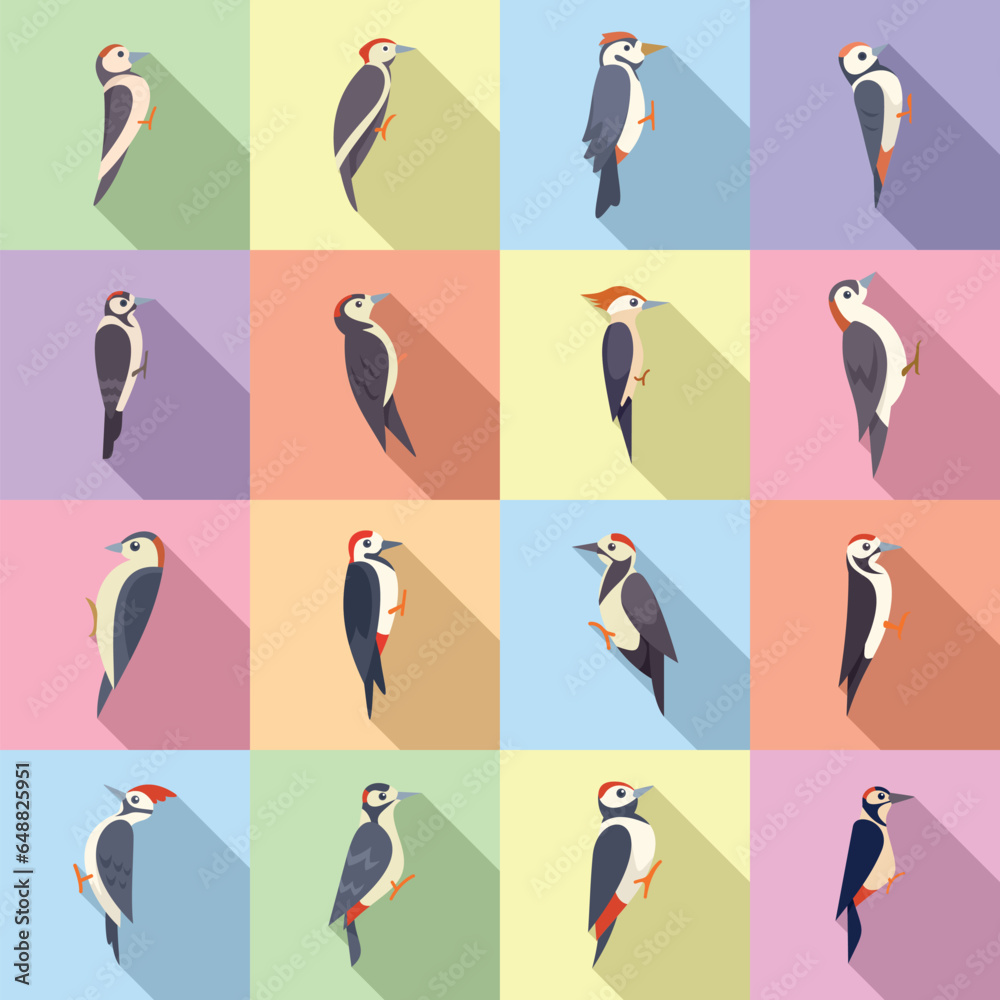Obraz premium Woodpecker icons set flat vector. Animal bird. Forest nature