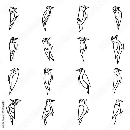 Woodpecker icons set outline vector. Animal bird. Forest nature
