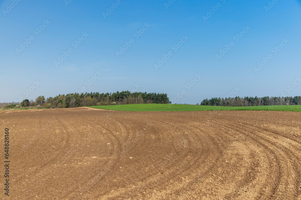 the plowed soil during preparation for sowing agricultural plants