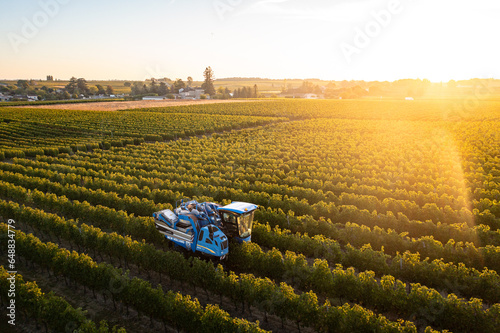 Machine à vendanger dans le vignoble bordelais