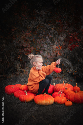 Portrait of a blonde little girl in an orange sweater on the background of a pumpkin harvest