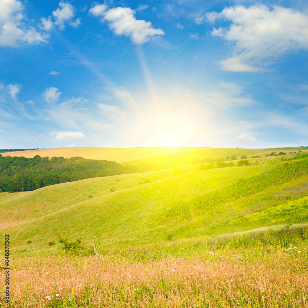 Obraz premium Green meadow (pasture) and sun.