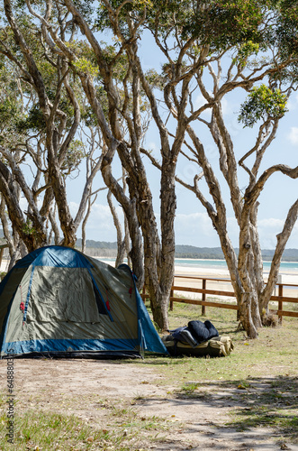 Camping at the beach in North Stradbroke Island  Queensland  Australia