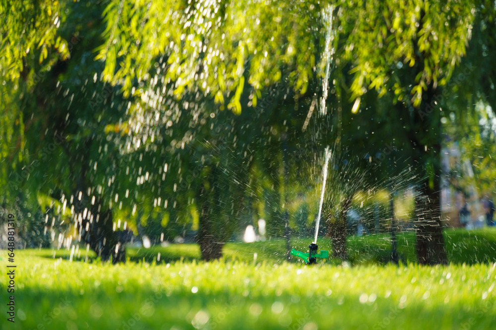 watering the lawn in the city park, splashing water, bright sunlight on the green grass, trees in the shade, a beautiful summer landscape - obrazy, fototapety, plakaty 