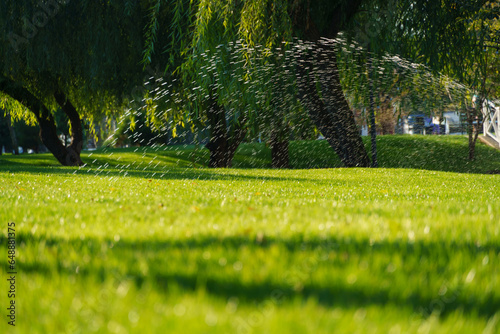 watering the lawn in the city park, splashing water, bright sunlight on the green grass, trees in the shade, a beautiful summer landscape