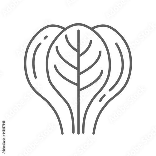 Spinach icon. Leaves vegetable logo Spice for food apps and websites. Tasty fresh herb green leaf healthy lettuce concept Editable stroke. Vector illustration design on white background. EPS 10