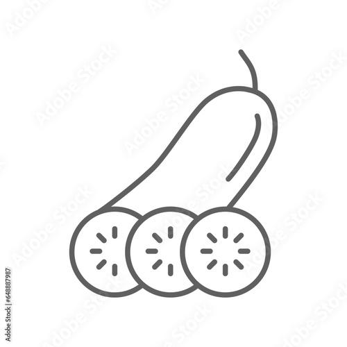 Cucumber icon on slice cross section with seeds. Element of drink and food icon for mobile concept and web apps. Outline style. Editable stroke. Vector illustration design on white background. EPS 10