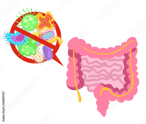 Intestine digestive gut bacteria system microflora concept. Vector flat graphic design illustration