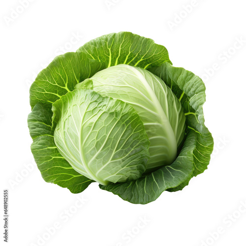 Cabbage isolated on transparent background cutout png. Perfect for food-related designs  agricultural themes  or projects related to farming