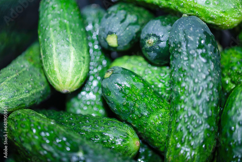 Cucumbers for pickling  green vegetables.
