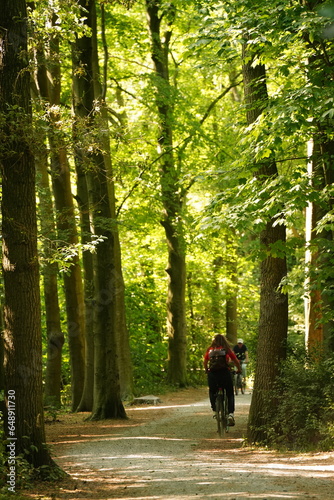 A picture clicked in The Netherlands 