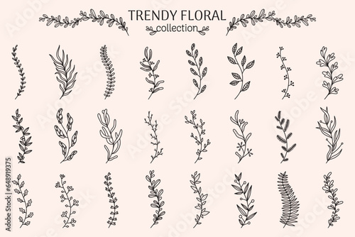 Flower branch. Eucalyptus, rosemary herb, lavender floral plants, rustic olive. Leaves and berries. Frame and border decorative elements for design. Botanical decor. Vector linear icons set