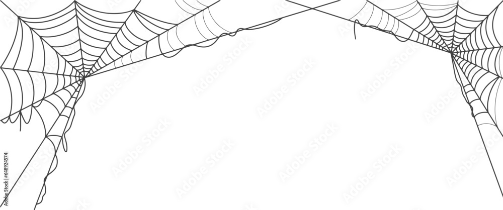 Spider web vector illustration