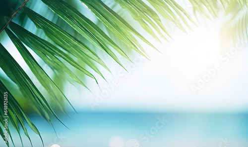 Close-up of palm leaf with blurred tropical beach