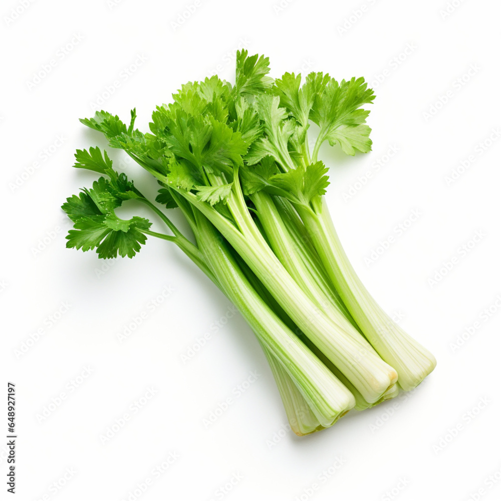 fresh parsley fresh parsley