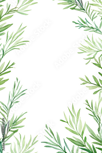 Rosemary plant in the shape of a frame isolated on a white background