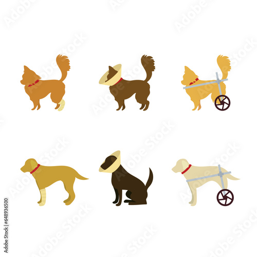 怪我をした犬