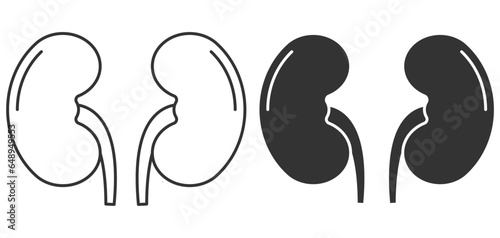 Human kidneys anatomy icon. Vector illustration.