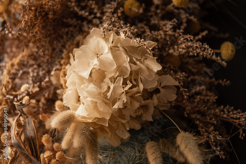 Obraz na płótnie Decor of dried flowers on the wall. A bouquet of dried flowers. Floral minimalist home interior in boho style. The decor of the festive photo zone in the boho style. w salonie