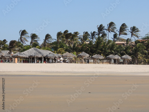 Summer on the coast of Brazil