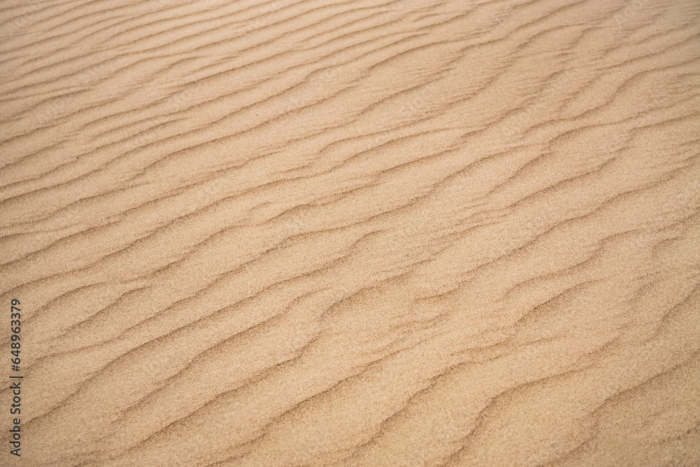 Sand dunes in the Senek desert in the Kazakh desert, desert sand texture for background Sand dunes in the Senek desert in the Kazakh desert, desert sand texture for background