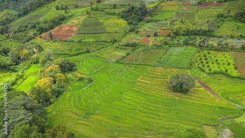 Rice terraces field and Small village in Chiang Mai, Thailand