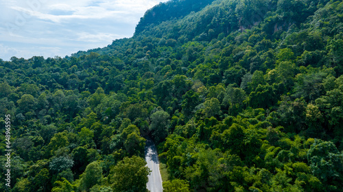 Aerial top view of road in forest.Winding road through the forest.Ecosystem ecology healthy environment road trip. Forest ecosystem and health concept and background, texture of green forest.