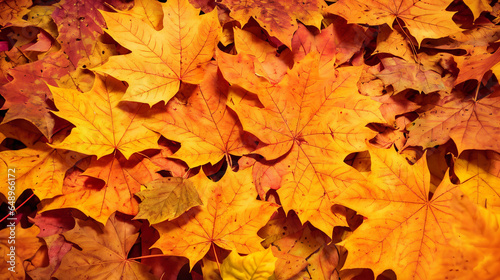 Autumn background  colorful varieties of maple leaves  concept of autumn and fall  Thanksgiving season  website banner copyspace  texture desing header  Generative A.I 