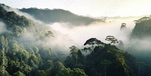 Top view landscape of foggy tropical forest and green mountains.AI Generative