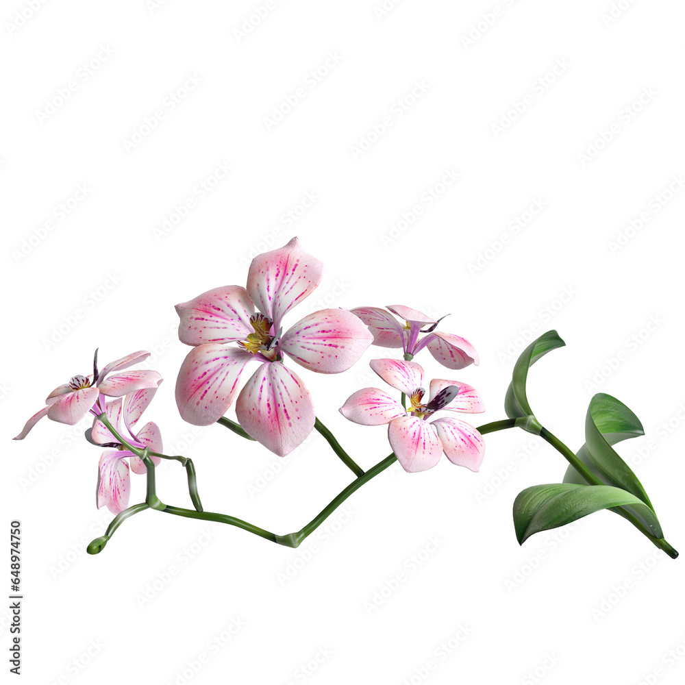 3d illustration of flower and leaf isolated transparent background
