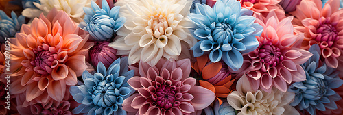 Einzigartige Chrysanthemen in wunderschöner Farbenpracht und Sonderzüchtung Nahaufnahme im Querformat für Banner, ai generativ