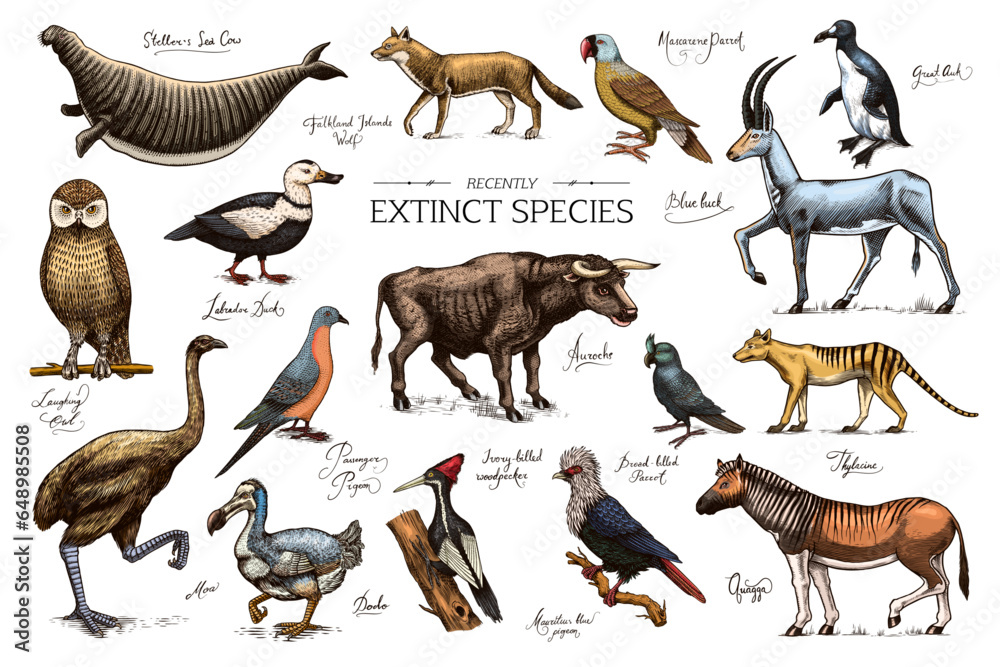mammals animals list