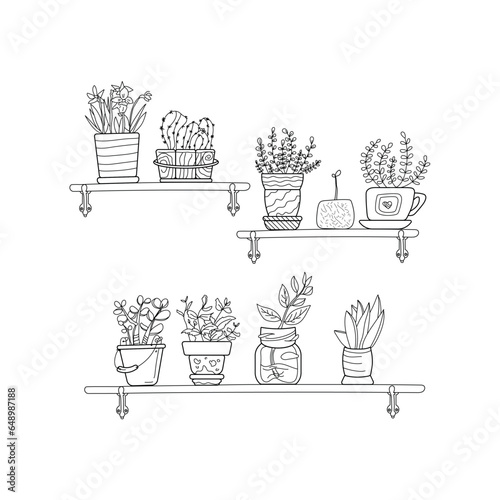 Line illustration of Shelves of homegrown flowers. Potted flowers. Plantsman.