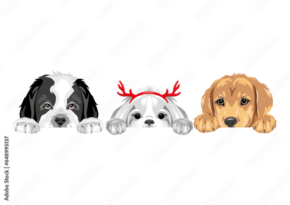 Saint Bernard dog, Shih Tzu and Golden Retriever are best friends