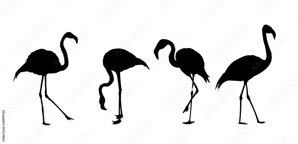 Obraz premium set of flamingo silhouettes