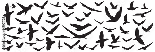 Large collection of hand drawn flying birds silhouette. Set of silhouette of flying birds. Vector illustraiton.