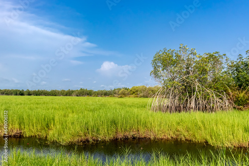 An enchanting panorama of a charming countryside scene, with a beautiful field, a small reflecting lake and a cloudless blue sky.