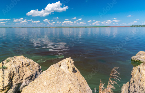 Eutrophication of the Khadzhibey estuary, blooms in the water of the blue-green algae Microcystis aeruginosa photo