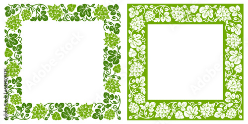 Set of square frames with patterns of hop plant or malt, ripe hops cones, branches and leaves. Elegance ornament, decoration for beer label, packages for cosmetics etc. Vector illustration