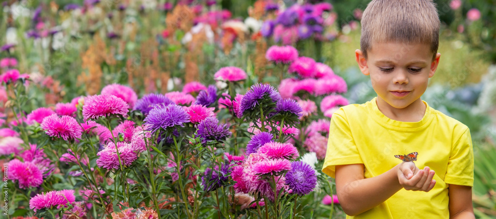boy holding a butterfly on his hand selective focus boy holding a butterfly on his hand selective focus