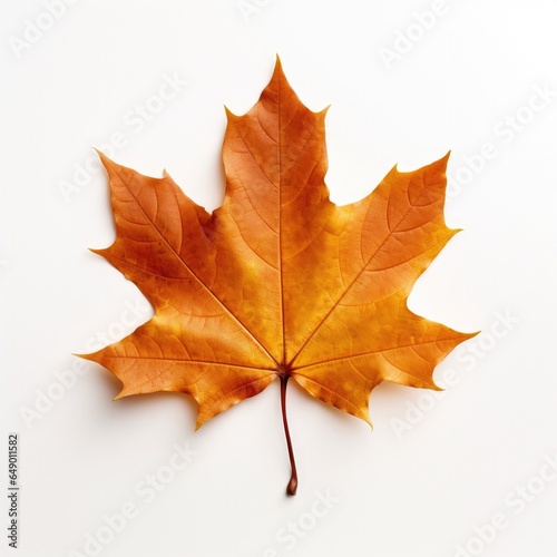 Orange Autumn Leaf Isolated...