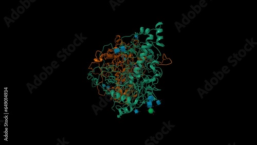 Native structure of soluble human primary amine oxidase AOC3. Animated 3D cartoon and Gaussian surface models, chain id color scheme, PDB 2y73, black background photo