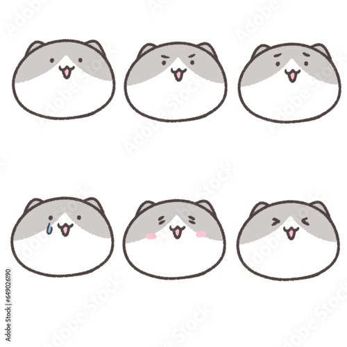 猫の表情