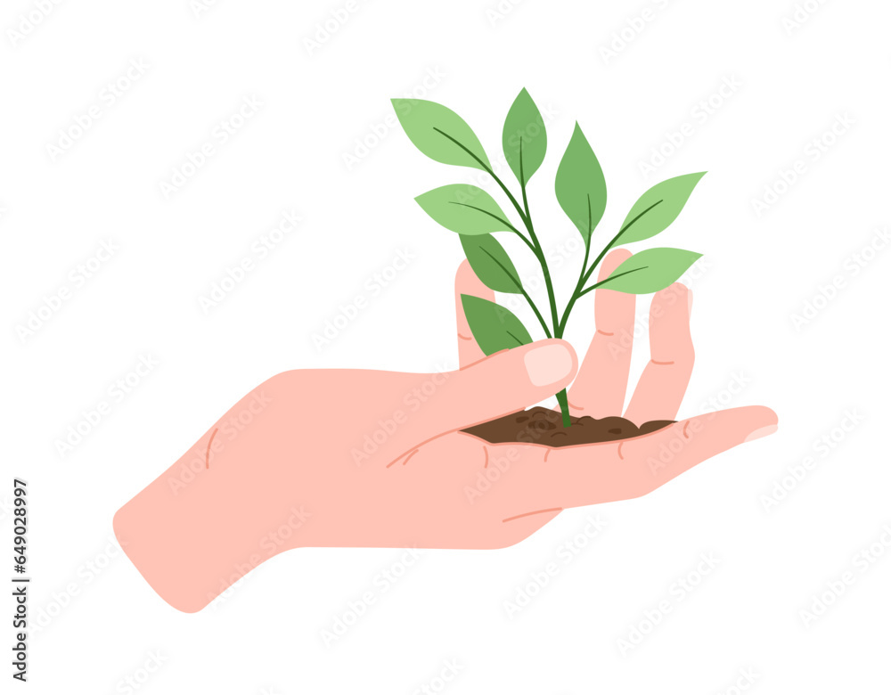 Hand holding plant stem concept. Human palm with part of flower in soil. Floristry and botany, nature. Poster or banner. Cartoon flat vector illustration isolated on white background