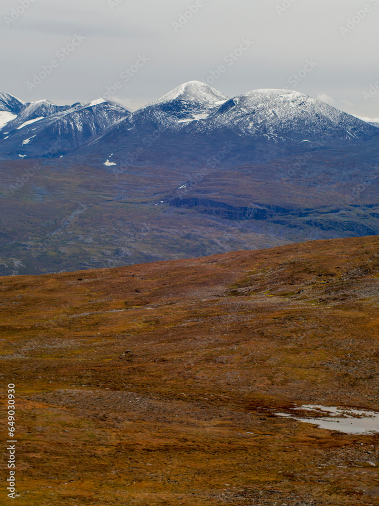 Autumn-Colored Plain in Front of Snowy Summit, Sweden