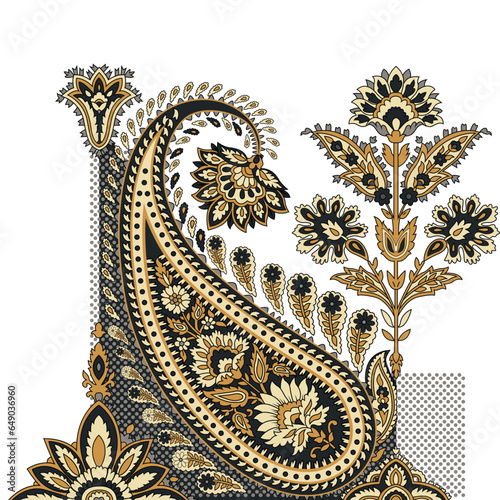 A vibrant highly detailed paisley pattern on a clean white background