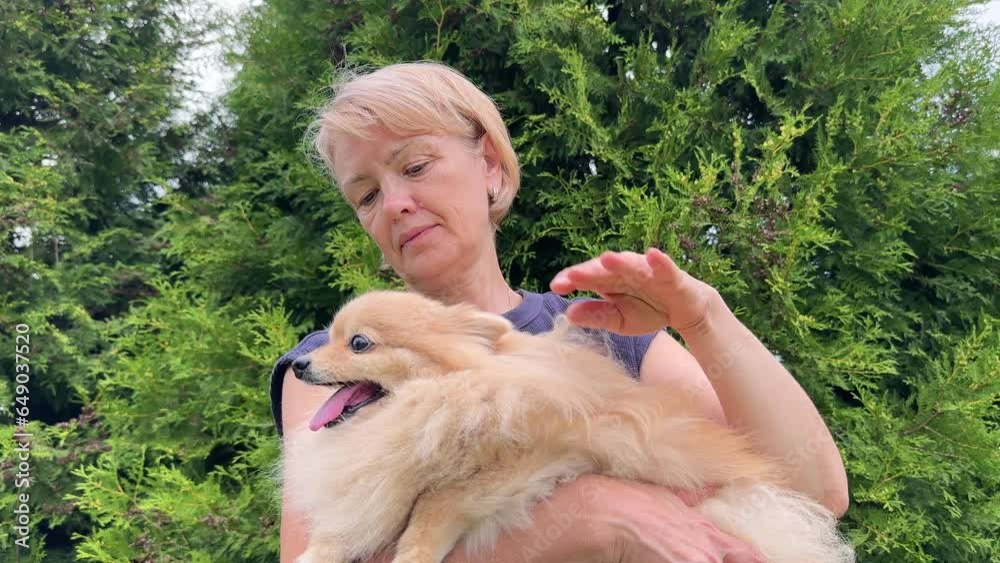 Beautiful elderly senior woman playing with her dog, Pomeranian Spitz puppy lying on grass at summer day 