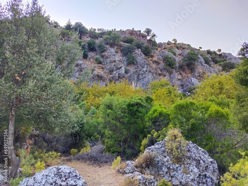 Pinara ruins of an ancient city near Fethiye, Mugla, Türkiye. Lycian tombs, ancient Roman amphitheater and mountains. photo